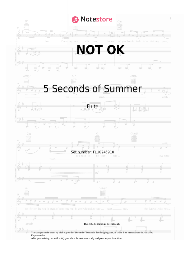 NOT OK - 5 Seconds of Summer Flute Sheet Music - Flute